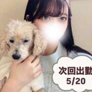 ヒメ日記 2026/05/19 13:14 投稿 小川なち HYPER TOKYO