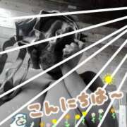 ヒメ日記 2025/07/18 12:17 投稿 島内 西川口デッドボール