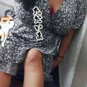 ヒメ日記 2025/08/16 15:48 投稿 島内 西川口デッドボール