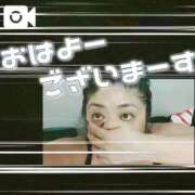 ヒメ日記 2025/11/16 12:25 投稿 島内 西川口デッドボール