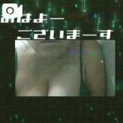 ヒメ日記 2025/12/19 12:38 投稿 島内 西川口デッドボール