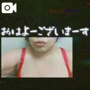 ヒメ日記 2025/12/26 10:23 投稿 島内 西川口デッドボール