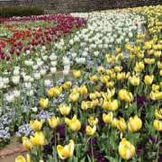 ヒメ日記 2026/02/14 04:33 投稿 いずみ 秋葉原コスプレ学園in仙台