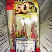 ヒメ日記 2026/02/14 18:23 投稿 いずみ 秋葉原コスプレ学園in仙台