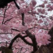 いずみ 退勤◡̈⃝︎⋆︎* 秋葉原コスプレ学園in仙台