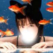 ヒメ日記 2026/02/14 19:06 投稿 ななこ SWITCH（スイッチ）池袋店