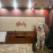 ヒメ日記 2025/11/15 08:21 投稿 聖羅むう やみつきエステ千葉栄町店