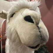 ヒメ日記 2025/11/18 09:01 投稿 聖羅むう やみつきエステ千葉栄町店