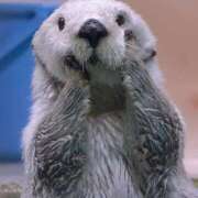 ヒメ日記 2025/12/08 18:02 投稿 聖羅むう やみつきエステ千葉栄町店