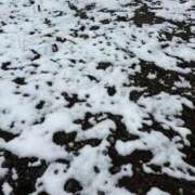 ヒメ日記 2026/02/08 14:21 投稿 聖羅むう やみつきエステ千葉栄町店