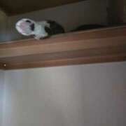 ヒメ日記 2025/06/27 10:36 投稿 かすみ ストロベリーハウス