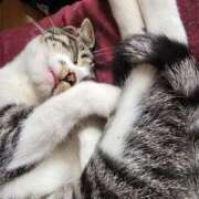 ヒメ日記 2025/07/11 14:11 投稿 かすみ ストロベリーハウス