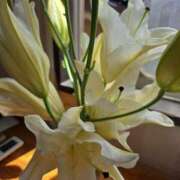 ヒメ日記 2025/07/18 14:28 投稿 かすみ ストロベリーハウス