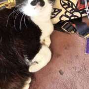 ヒメ日記 2025/07/26 16:14 投稿 かすみ ストロベリーハウス