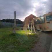 ヒメ日記 2025/08/08 10:15 投稿 かすみ ストロベリーハウス