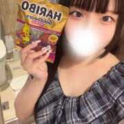 ヒメ日記 2025/07/13 18:33 投稿 にゃー まだ舐めたくて学園渋谷校〜舐めたくてグループ〜