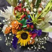 ヒメ日記 2025/06/27 15:15 投稿 かすみ コレクション