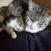 ヒメ日記 2025/06/28 15:55 投稿 かすみ コレクション