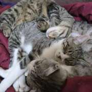 ヒメ日記 2025/07/08 14:04 投稿 かすみ コレクション