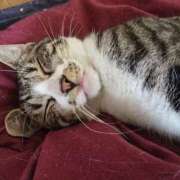 ヒメ日記 2025/07/10 14:23 投稿 かすみ コレクション