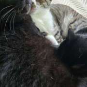 ヒメ日記 2025/07/19 14:16 投稿 かすみ コレクション