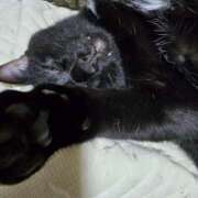 ヒメ日記 2025/07/30 16:38 投稿 かすみ コレクション