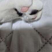 ヒメ日記 2025/08/01 09:59 投稿 かすみ コレクション