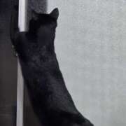 ヒメ日記 2025/08/02 16:58 投稿 かすみ コレクション