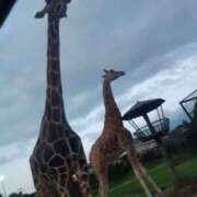 ヒメ日記 2025/08/09 10:13 投稿 かすみ コレクション