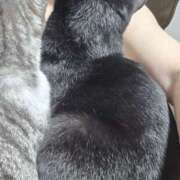 ヒメ日記 2025/08/16 09:43 投稿 かすみ コレクション