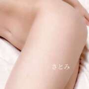 ヒメ日記 2025/07/29 17:22 投稿 さとみ先生 IMS