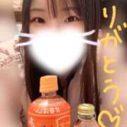 ヒメ日記 2026/02/05 14:59 投稿 さとみ先生 IMS