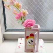 ヒメ日記 2026/03/26 13:48 投稿 さとみ先生 IMS