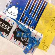ヒメ日記 2026/06/26 15:35 投稿 さとみ先生 IMS