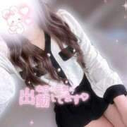 ヒメ日記 2025/09/02 15:44 投稿 天使　せいな 白衣の天使(守山)