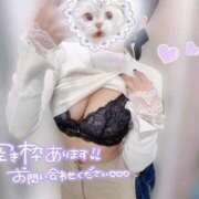 ヒメ日記 2025/10/28 12:49 投稿 天使　せいな 白衣の天使(守山)