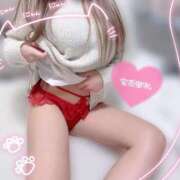 ヒメ日記 2025/11/25 13:01 投稿 天使　せいな 白衣の天使(守山)