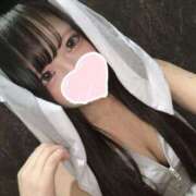 ヒメ日記 2025/11/06 19:30 投稿 乙姫 アラカルト