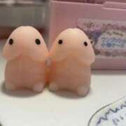 ヒメ日記 2025/11/12 11:36 投稿 乙姫 アラカルト