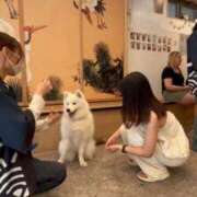 ヒメ日記 2025/10/03 21:49 投稿 こころ プレミアム(福原)