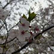 ヒメ日記 2026/04/05 21:35 投稿 ぴの プレミアム(福原)