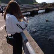 ヒメ日記 2025/07/06 02:33 投稿 秋月ゆあな お姉さんCLUB