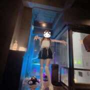 りんかaka虎の穴 ₹˝ｬʓピース🤟🏼🤍ྀི 風神会館新宿店