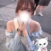 ヒメ日記 2025/11/05 22:23 投稿 アオイ 千葉美女革命