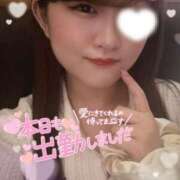 ヒメ日記 2025/08/01 21:25 投稿 まかろん とある風俗店♡やりすぎさーくる新宿大久保店♡で色んな無料オプションしてみました