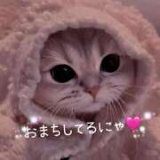 ヒメ日記 2025/08/24 12:02 投稿 茉希-MAKI- luxury aroma 咲