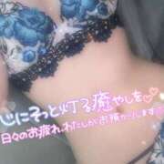 ヒメ日記 2025/08/30 08:01 投稿 茉希-MAKI- luxury aroma 咲