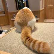 ヒメ日記 2025/10/18 08:02 投稿 茉希-MAKI- luxury aroma 咲