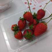 ヒメ日記 2025/06/28 17:17 投稿 瀬田 しほ 人妻セレブ宮殿