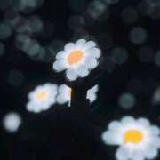 ヒメ日記 2025/07/02 19:31 投稿 瀬田 しほ 人妻セレブ宮殿